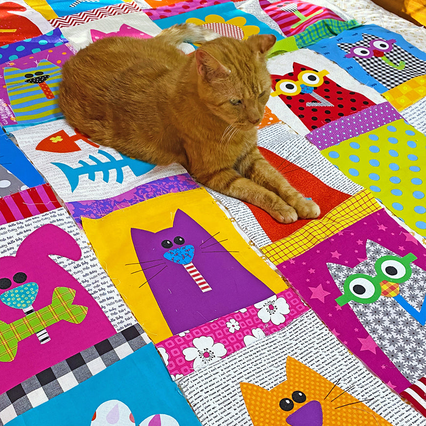 Flat Cat Boogie - PDF.